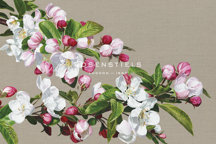 Apple Blossom - Sarah Caswell