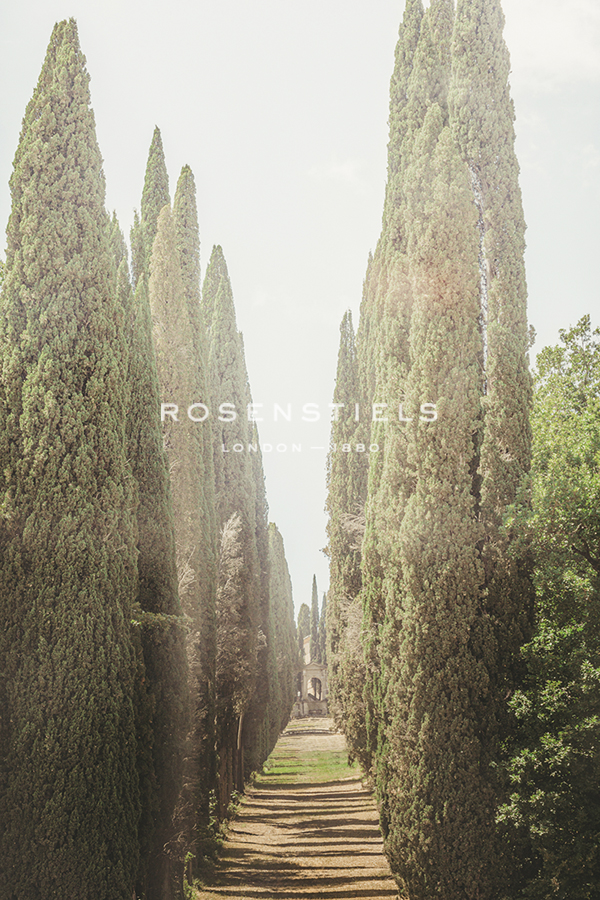 Tree Lined Path - Florian Schleinig