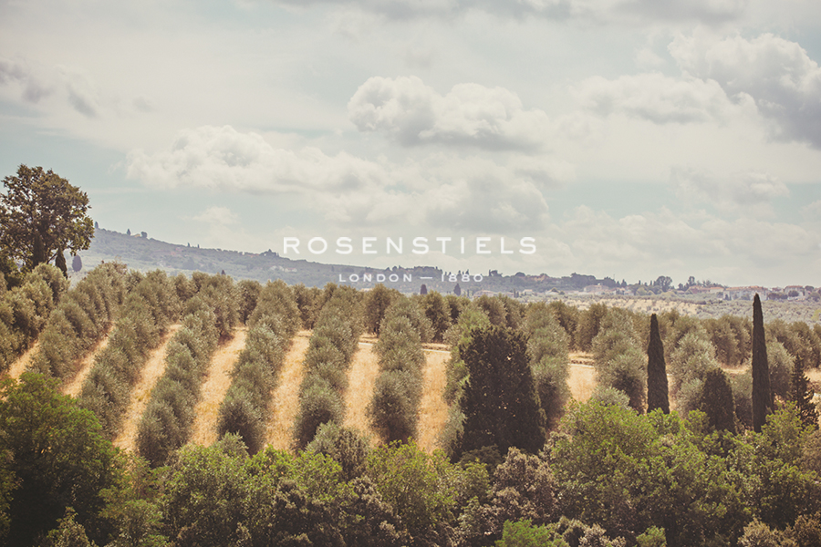 Rural Fields - Florian Schleinig