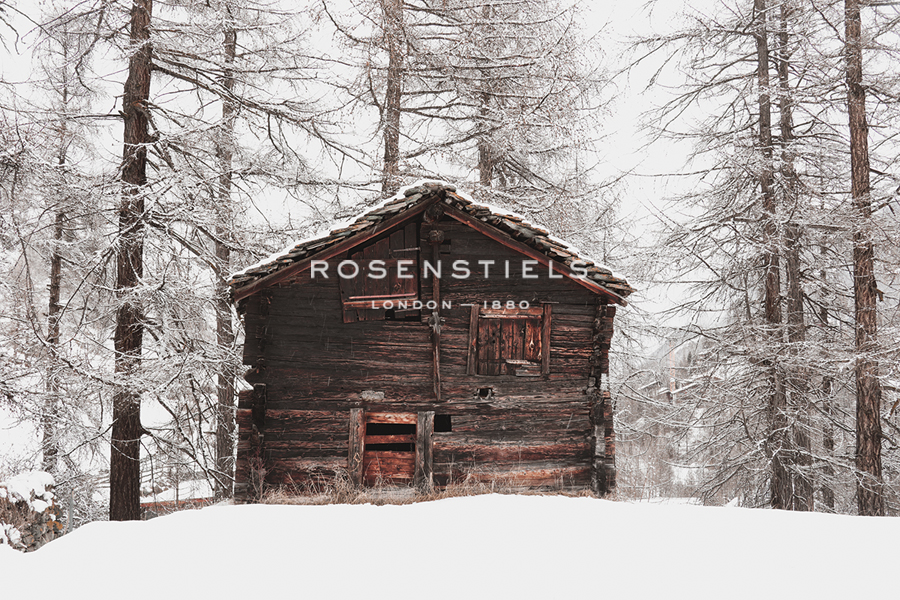 Frozen Shelter - Carina Okula