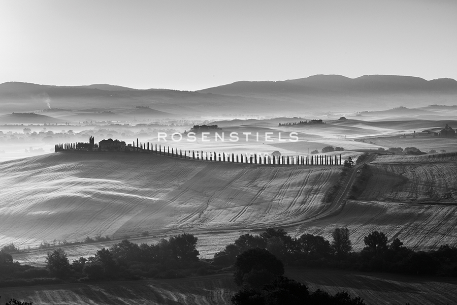 Noir Vista - Roam - Joseph Eta