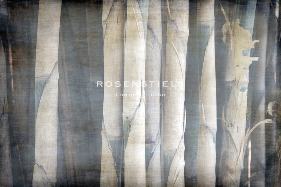 Bamboo Forest II - Tony Koukos