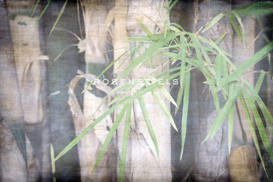 Bamboo Forest III - Tony Koukos