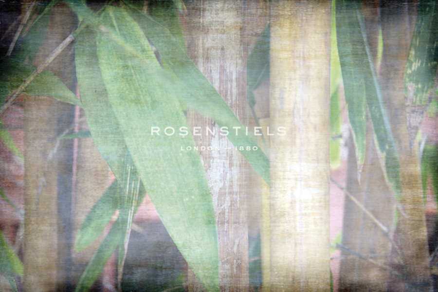 Bamboo Forest IV - Tony Koukos