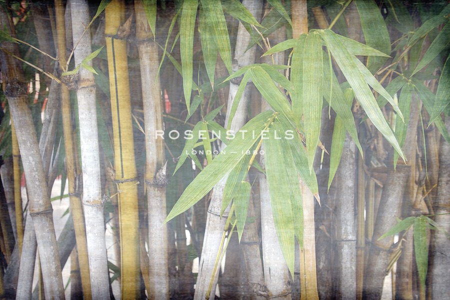 Bamboo Forest VI - Tony Koukos