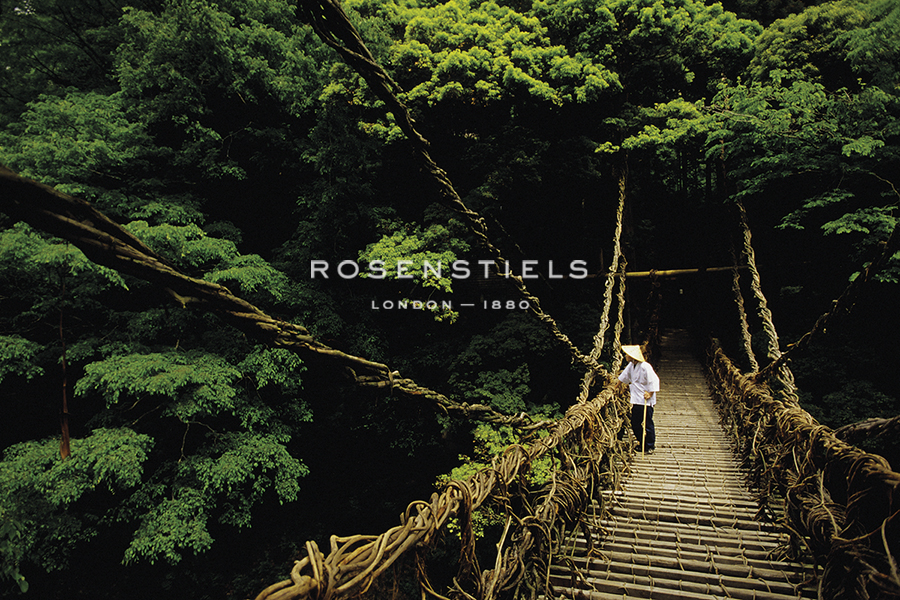 Forest Crossing - Bob Krist