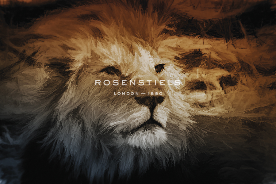 African Lion - Bobbie Goodrich