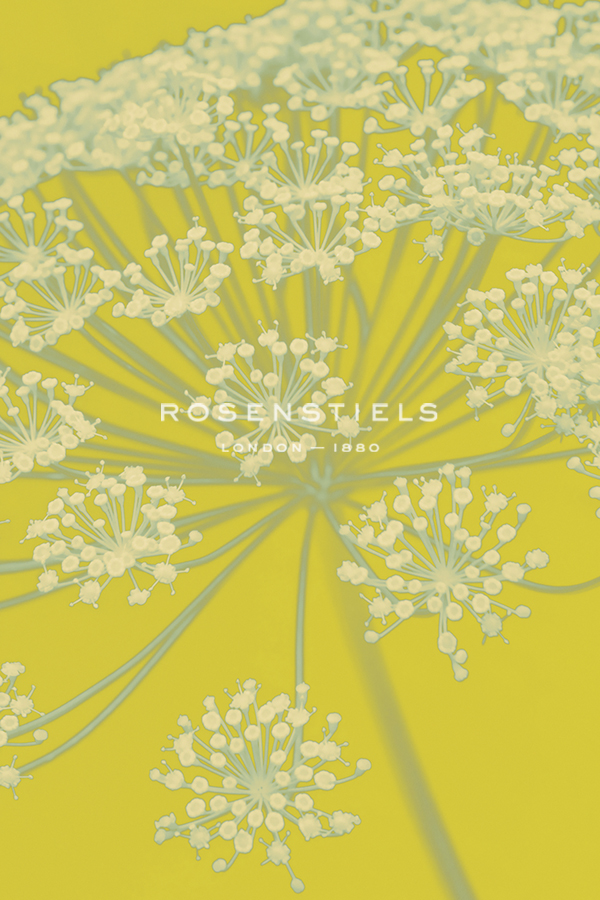 Citron Flowers - Ella Lancaster