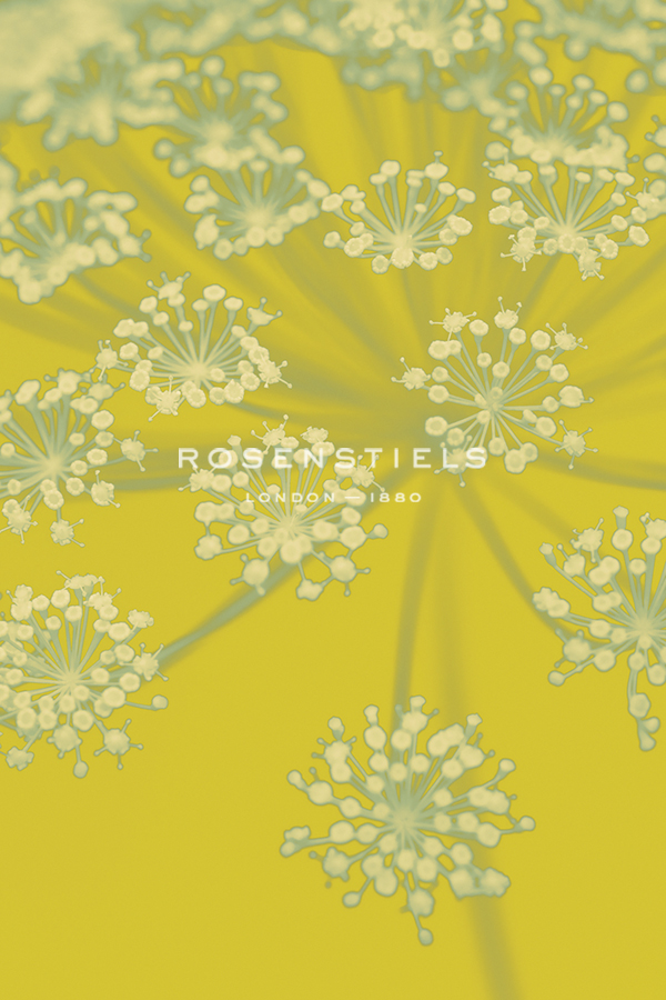 Citron Florals - Ella Lancaster