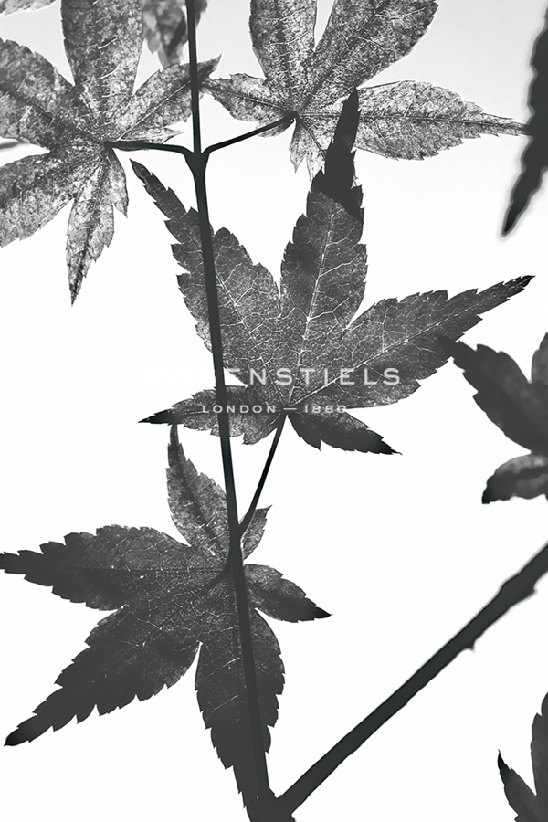 Antipode - Ella Lancaster