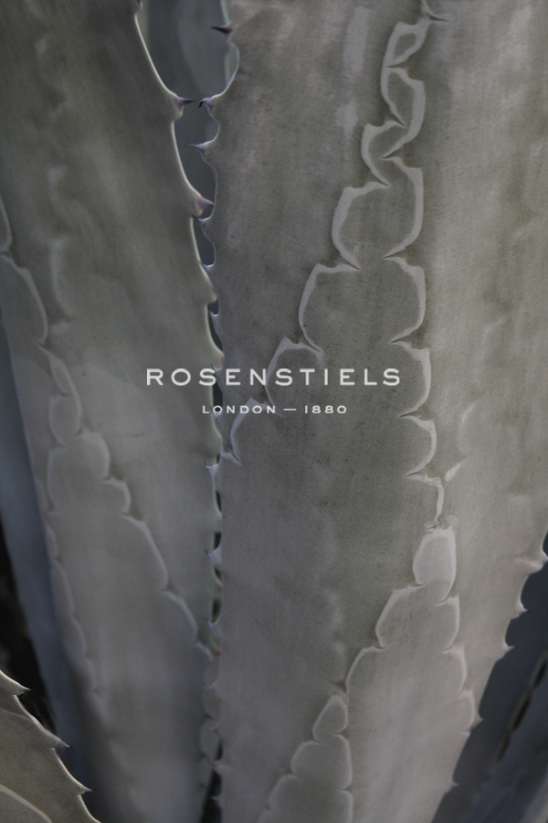 Botanicals Focus - Flourish - Tony Koukos
