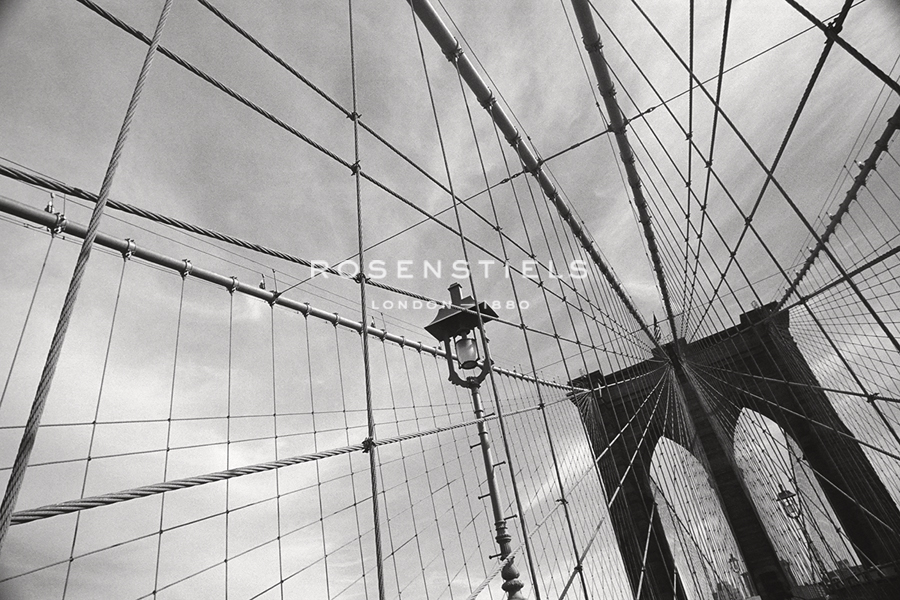 Looking Up - Tony Koukos