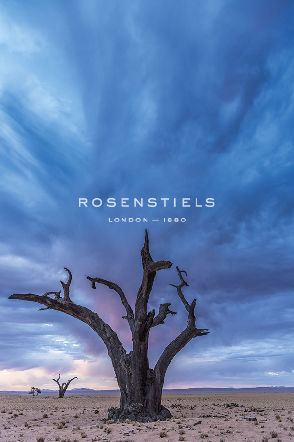 Powerful Skies - Catherina Unger