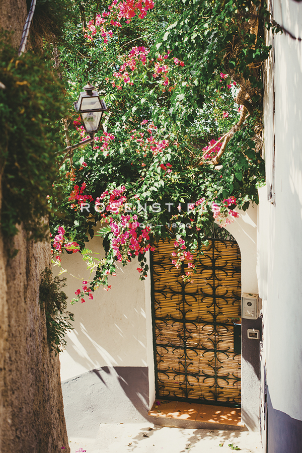 Corner Bloom - Florian Schleinig