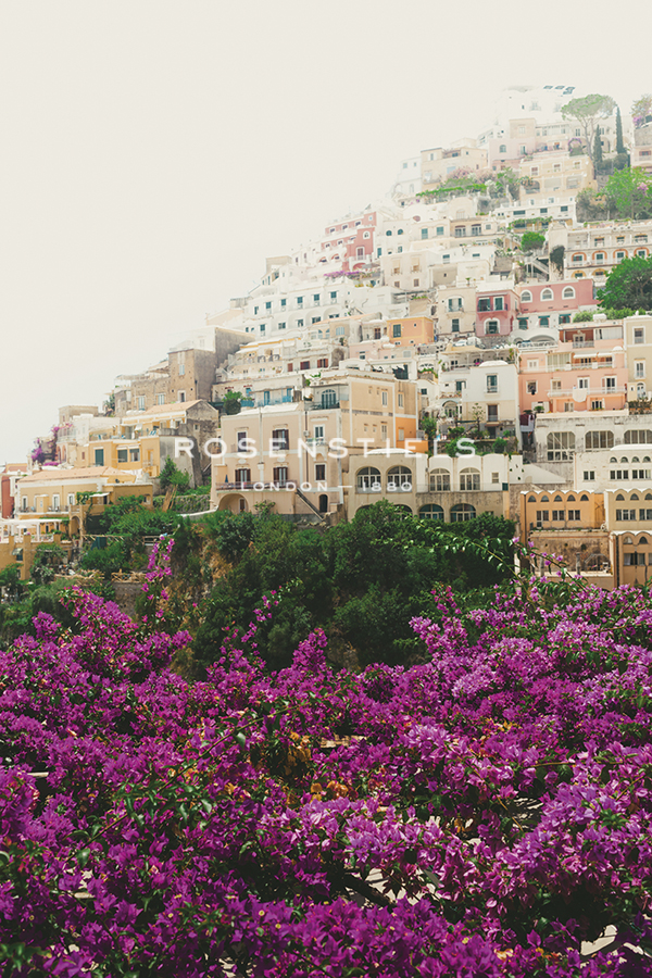 City Above Blossom - Florian Schleinig