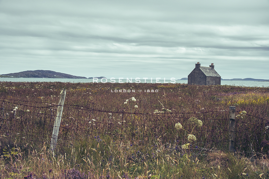 Peaceful Habitat - Matt Roseveare