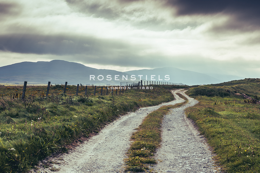 Countryside Ramble - Matt Roseveare