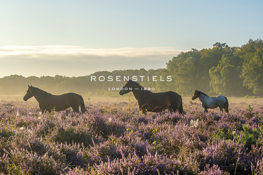 Trio Meander - Matt Roseveare