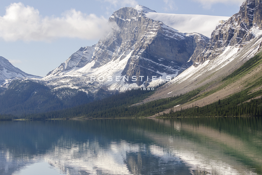 Mirrored Valley - Matt Roseveare