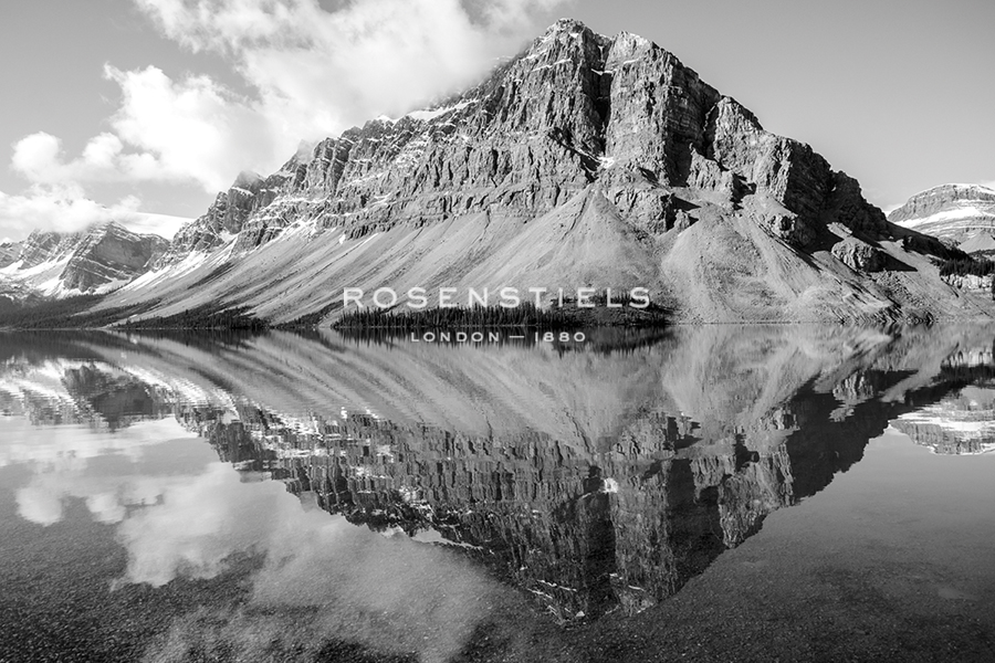 Reflected High - Matt Roseveare
