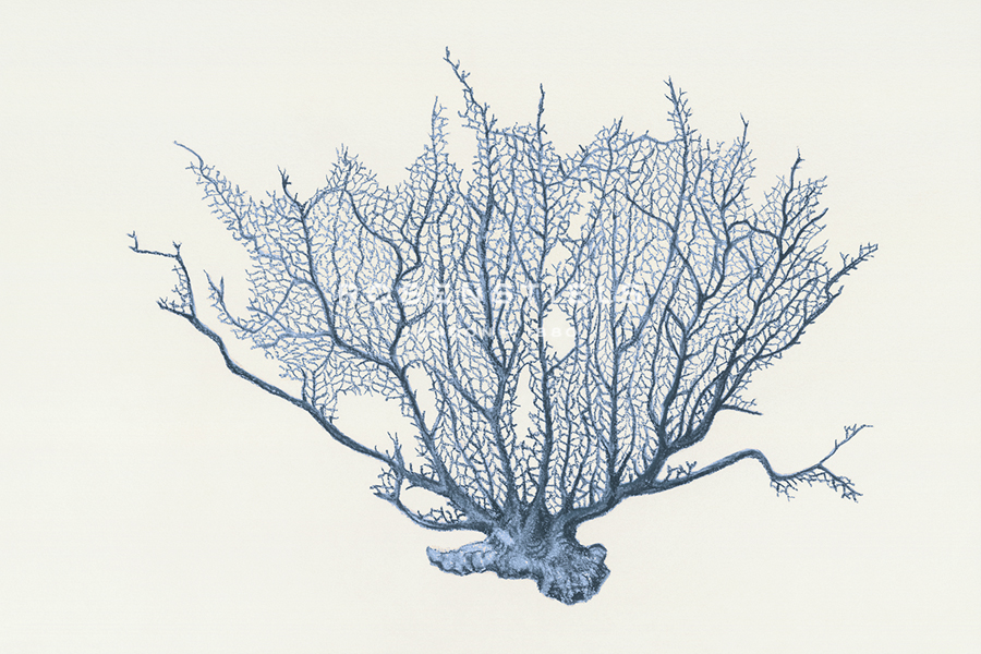 Ocean Wave - Hilary Armstrong