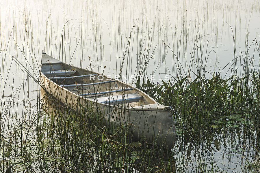 Calm Canoe - Mike Toy