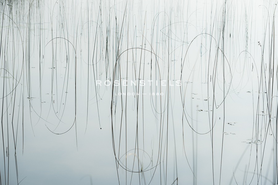 Lake Reeds - Strewn - Mike Toy
