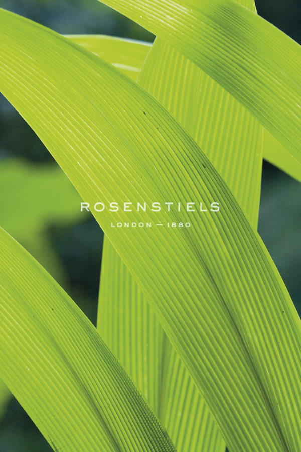 Verdant Foliage - Grow - Joseph Eta