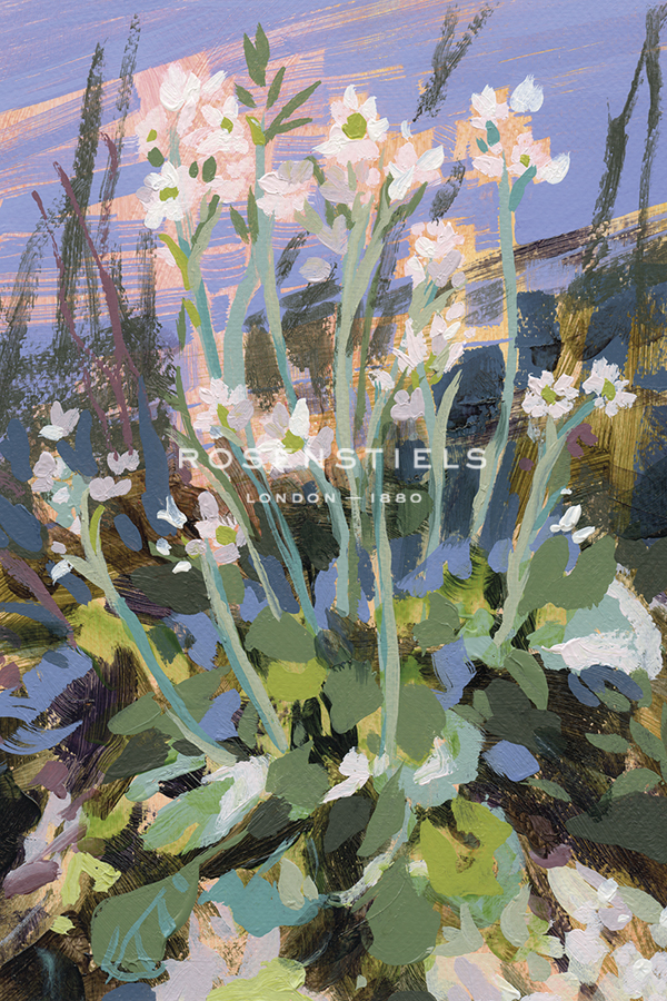 Primrose Study - Shine - Jennifer L Mohr