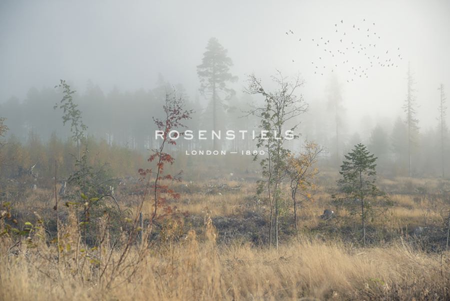 Desert Grasslands - Andreas Stridsberg