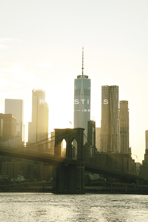 New York Skyline - One World - Carina Okula
