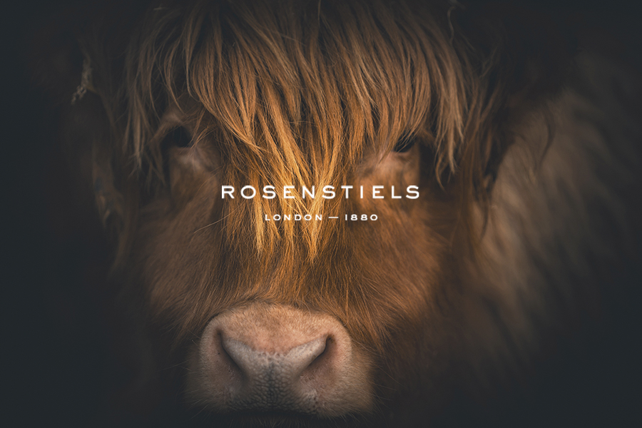 Highland Focus - Florian Schleinig