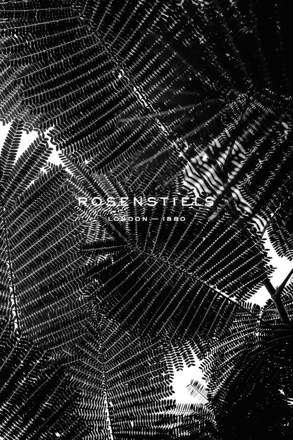 Natural Geometries - Bush - Tal Paz-Fridman