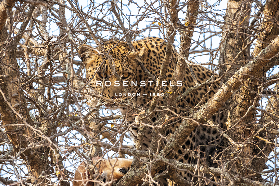 A Successful Hunt - Richard Palmer