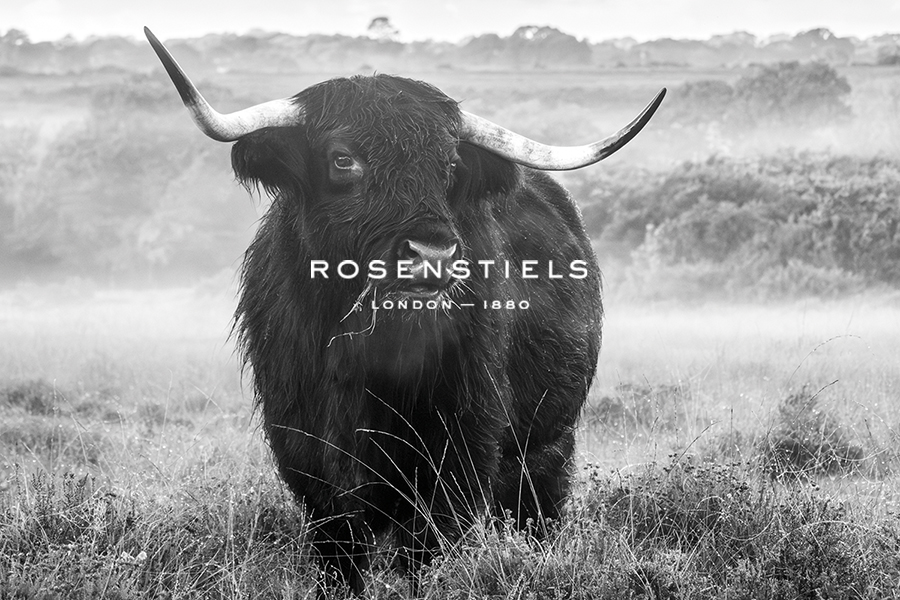 Misty Meadow - Stance - Matt Roseveare