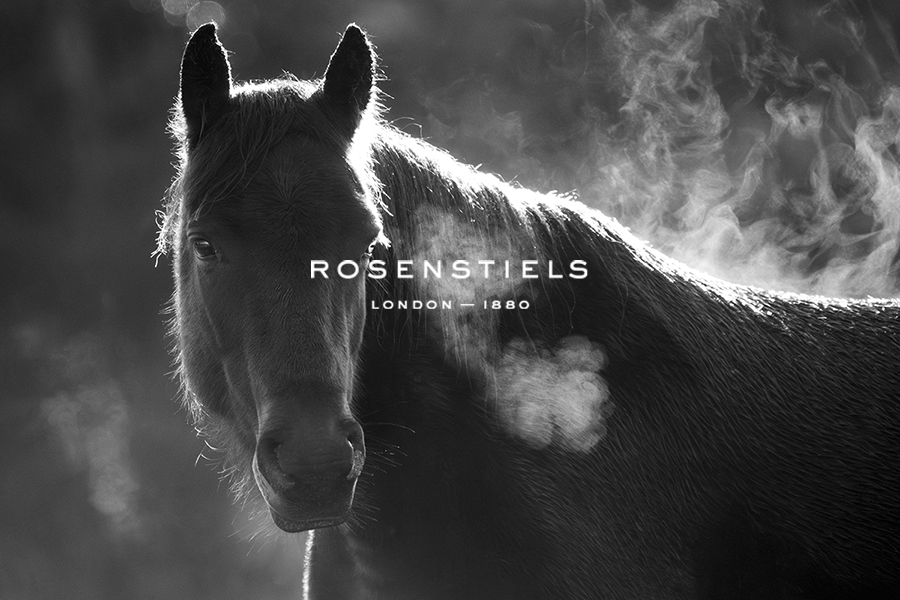 Pondering Pony - Mist - Matt Roseveare