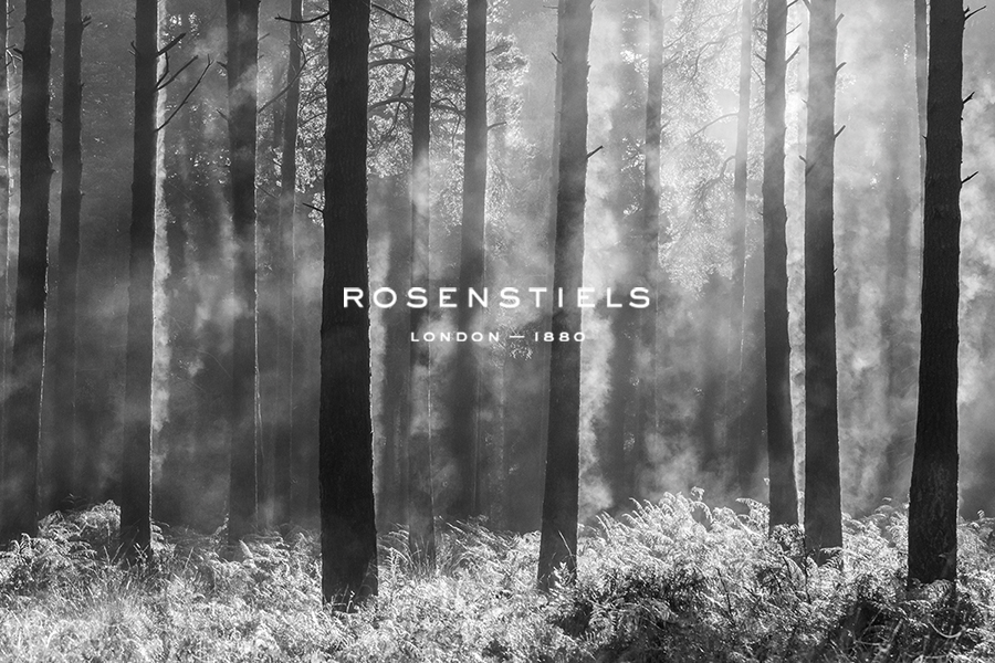 Dawn Drift - Forest - Matt Roseveare