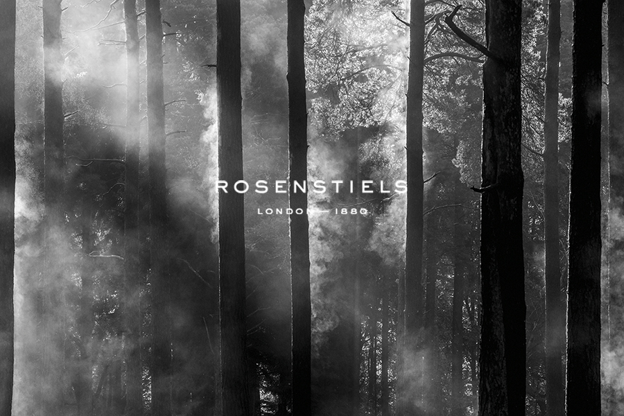 Dawn Drift - Woods - Matt Roseveare