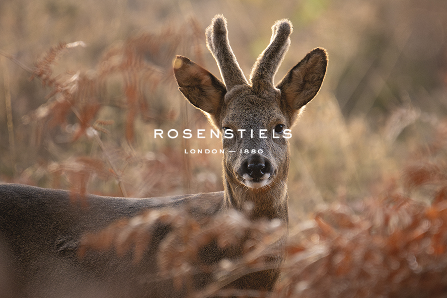 Morning Ramble - Look - Matt Roseveare