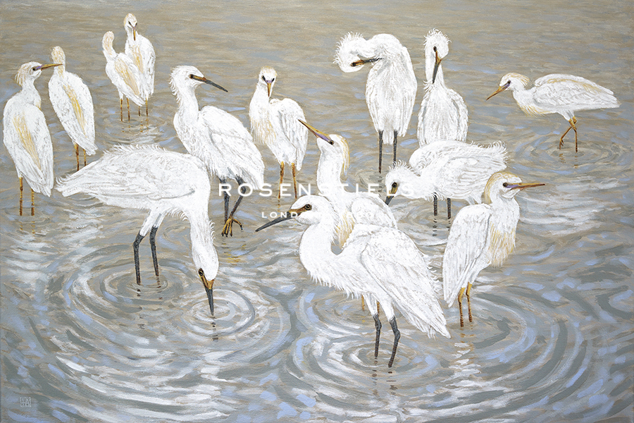 Herons and Egrets - Hilary Armstrong