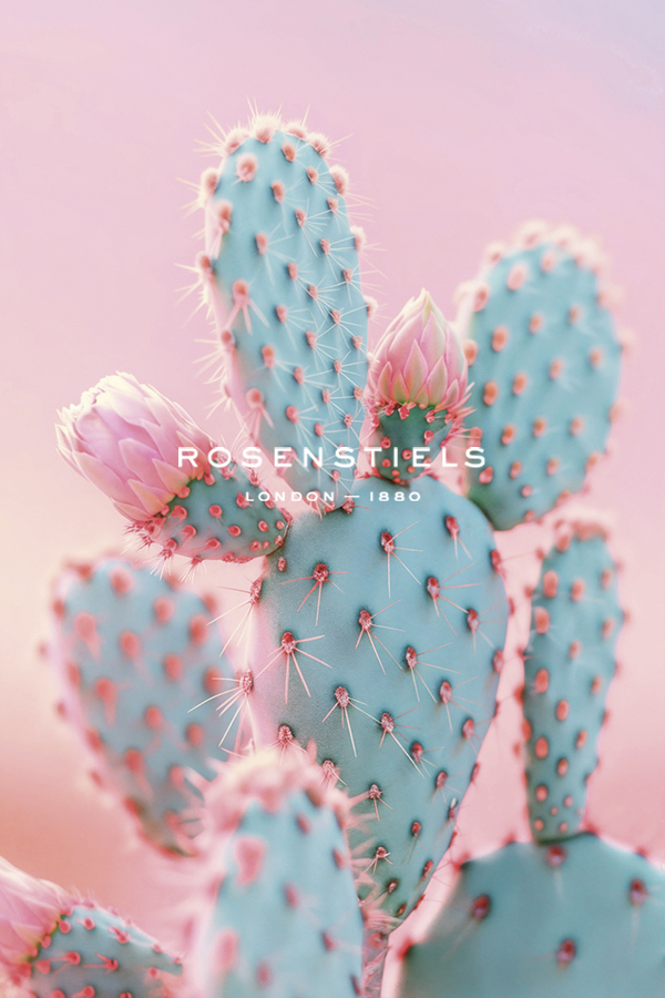 Blush Botanicals - Prickles - Philippe Hugonnard