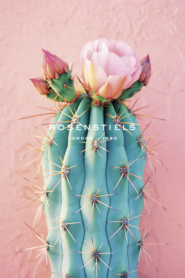 Blush Botanicals - Thorns - Philippe Hugonnard