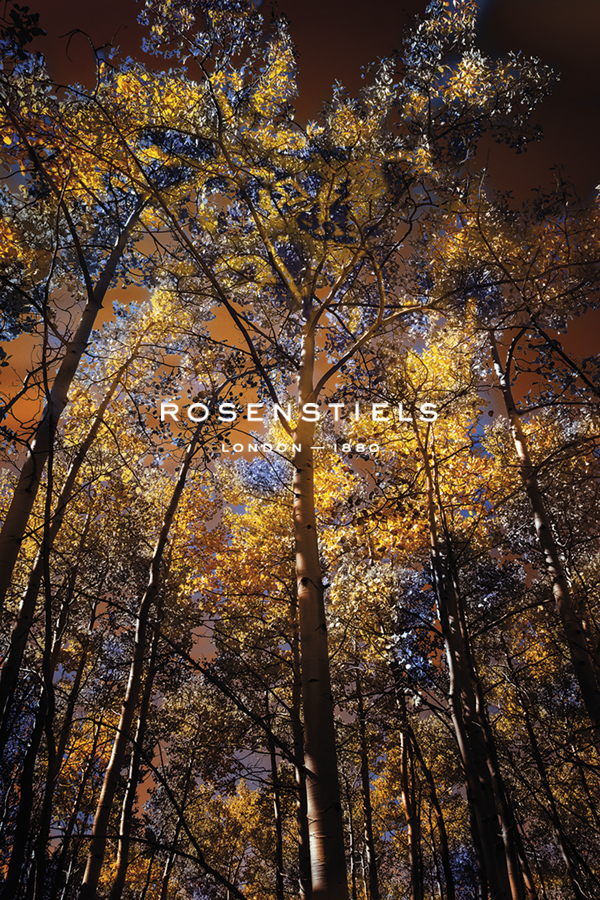 Leafy Shelter - Bobbie Goodrich