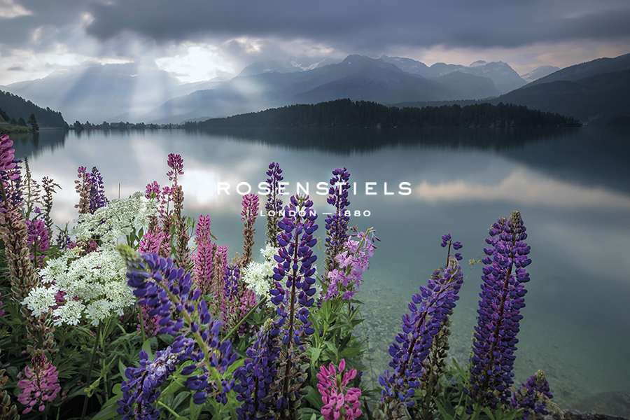 Lupin Lake - Roberto  Moiola