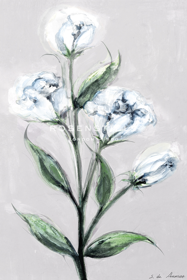 Floral Serenade - Stem - S.  de Armas