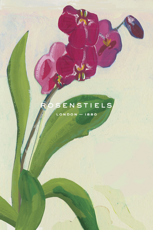Orchid Blossom - Sprig - Kay Widdowson