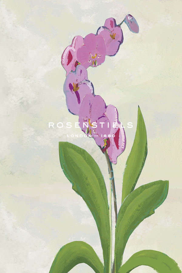 Orchid Blossom - Stem - Kay Widdowson