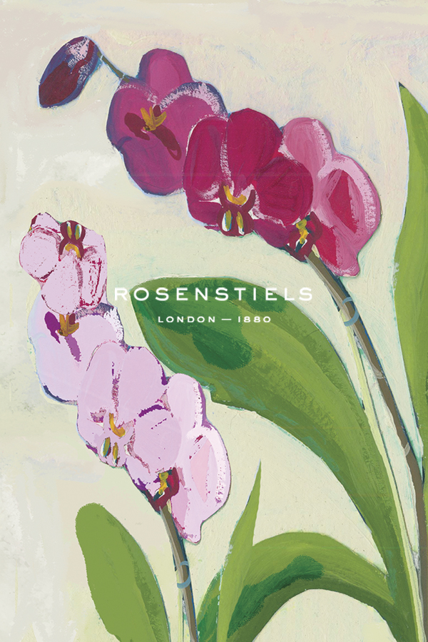 Orchid Blossom - Spray - Kay Widdowson