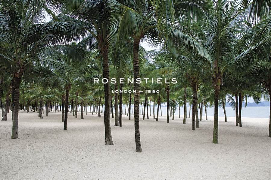Beneath the Palms - Joseph Eta