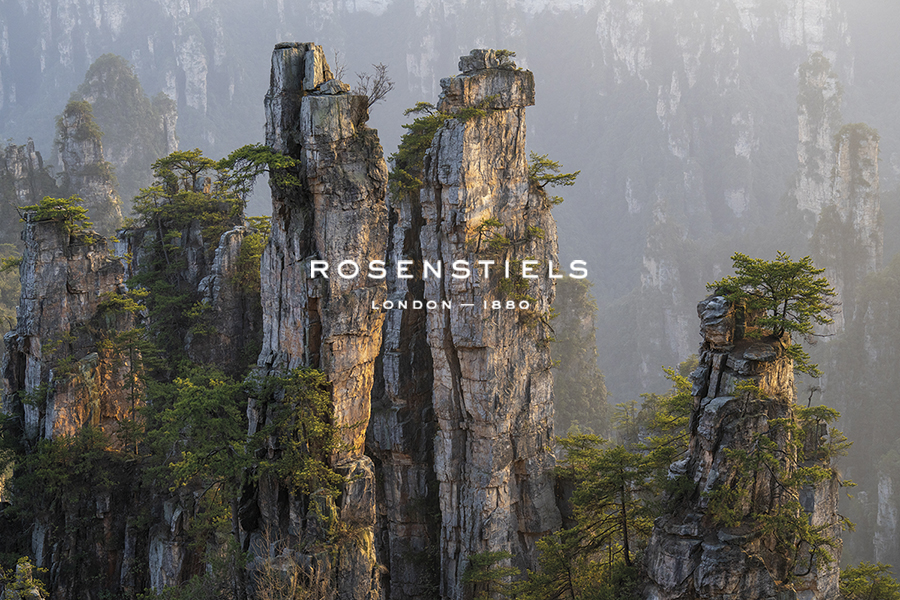 Stone Sentinels - Structure - Wild Wonders of China